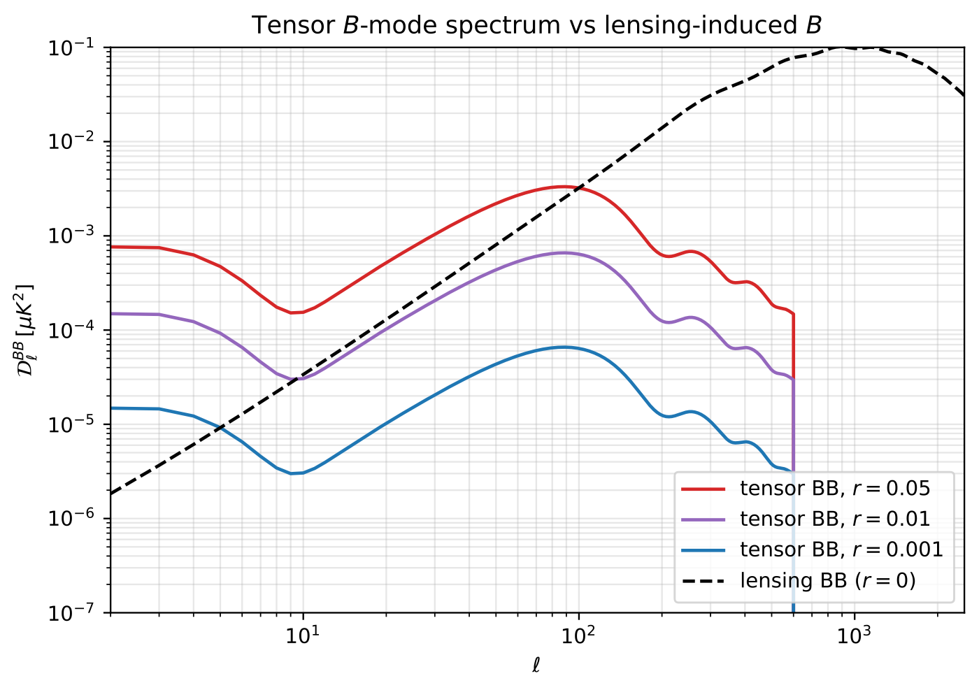 10 tensor BB